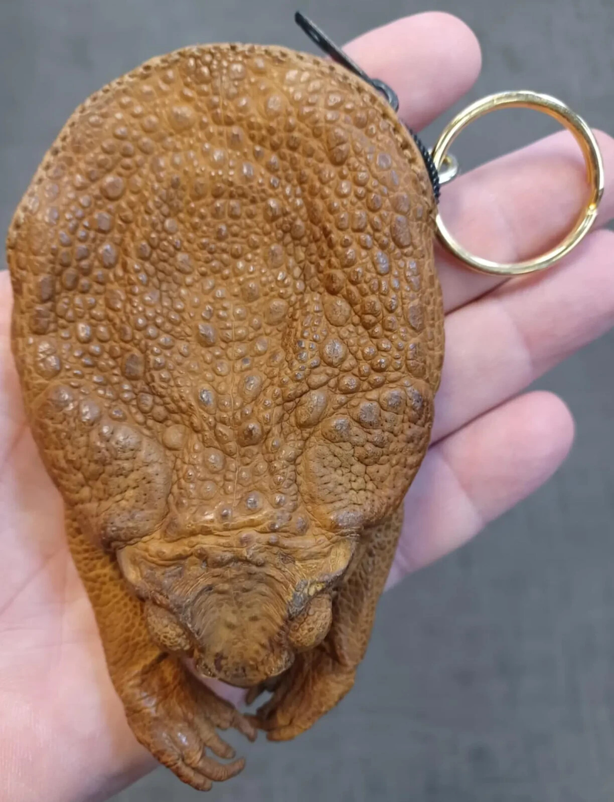 Large Handmade Sugar Cane Toad Coin Purse Keychain - Real Toad Leather