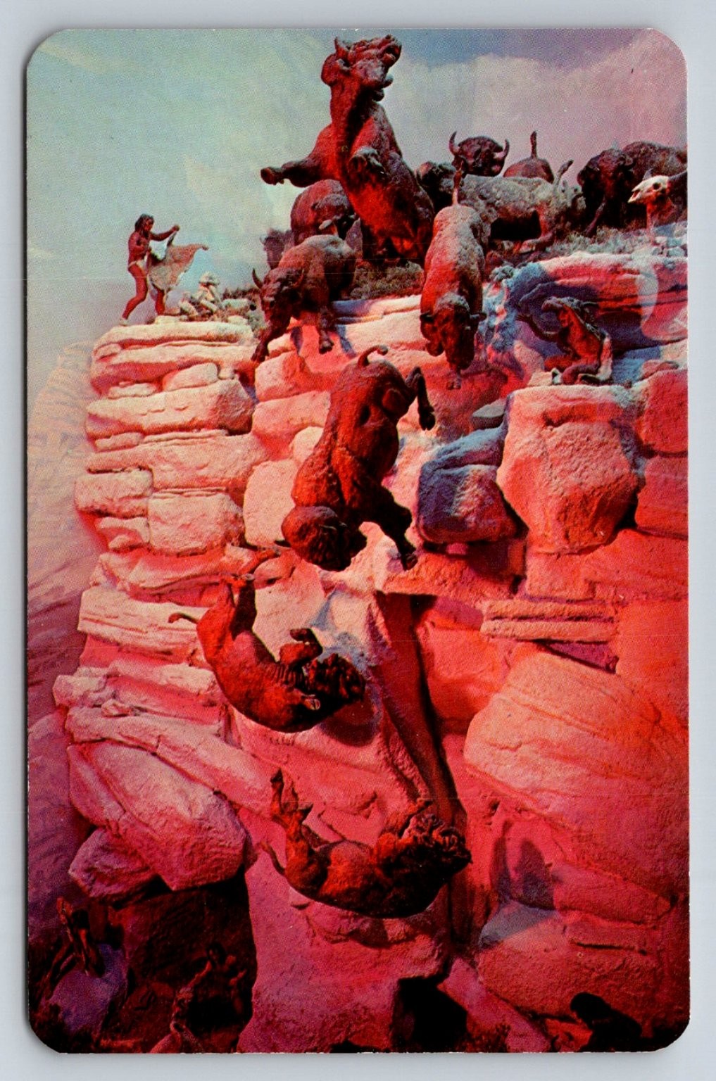 Montana Historical Society Buffalo Jump Pishkun Diorama Postcard
