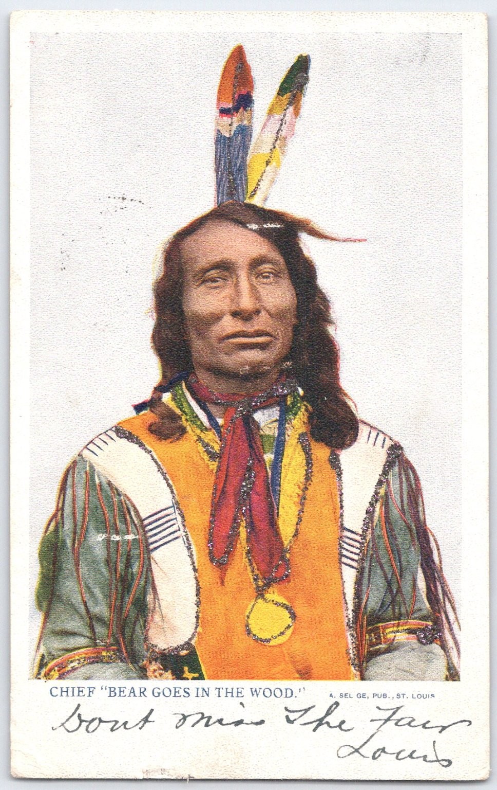 Chief Bear Goes in the Wood Native American Portrait Postcard 1904 St. Louis