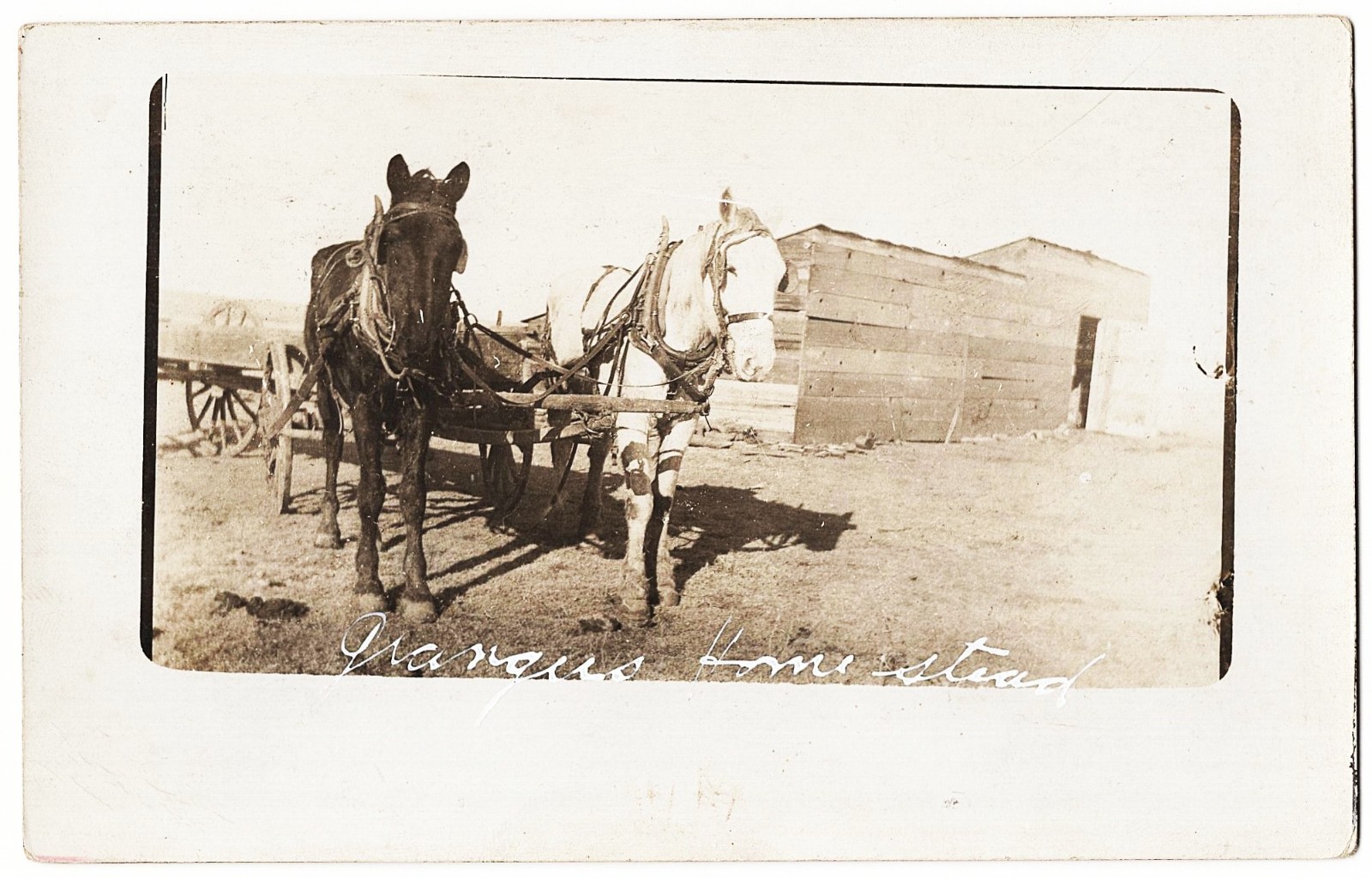 real photo Grangers Homestead pioneer West antique postcard RPPC