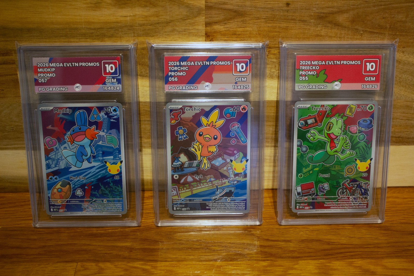 PG Grading GEM 10 First Partner Series 3 Pokemon - Treecko Mudkip Torchic