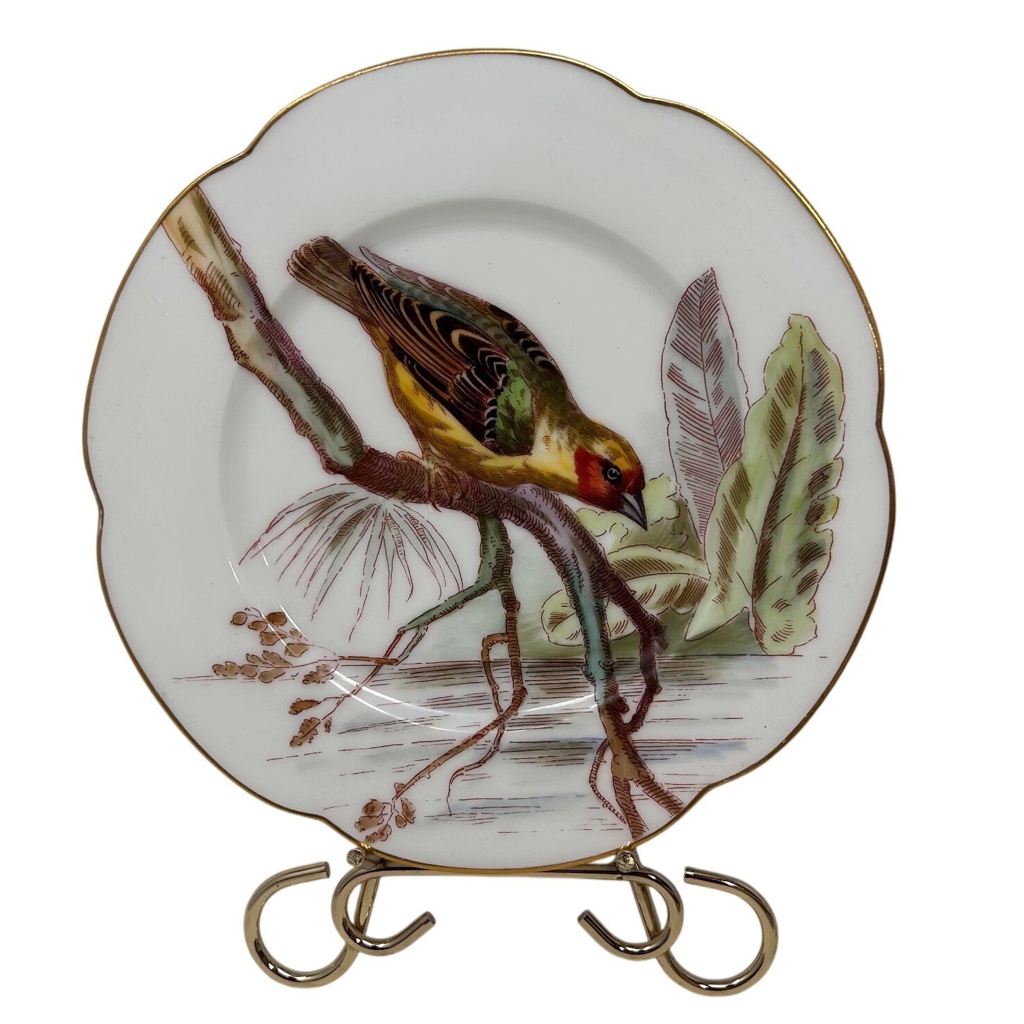 Antique A Hache Pepin Lehalleur Vierzon Paris Bird Porcelain Plate Gold Rim 8.5\