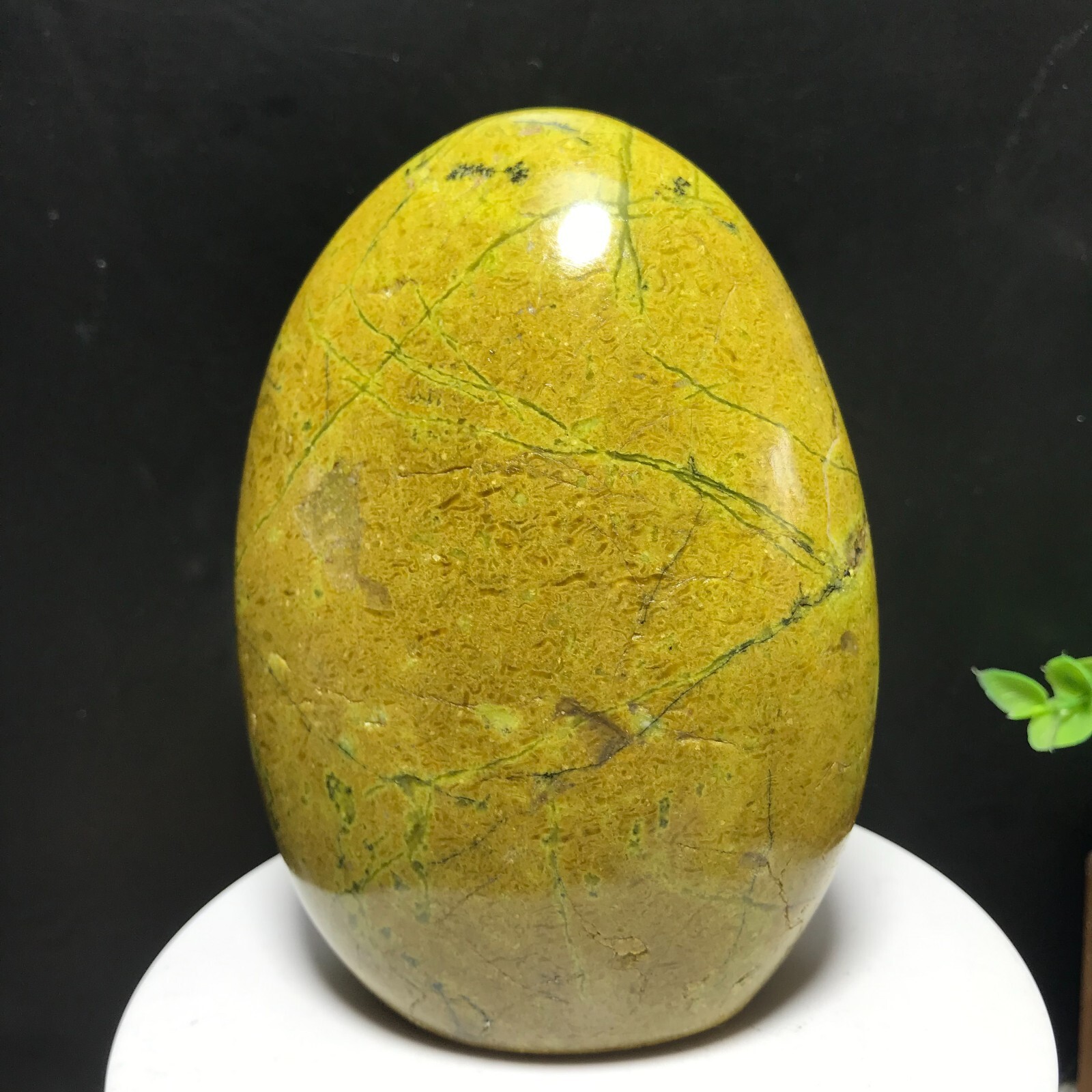 549g Natural Polished Green Opal Pattern Quartz Crystal Palm Stone Madagascar 06