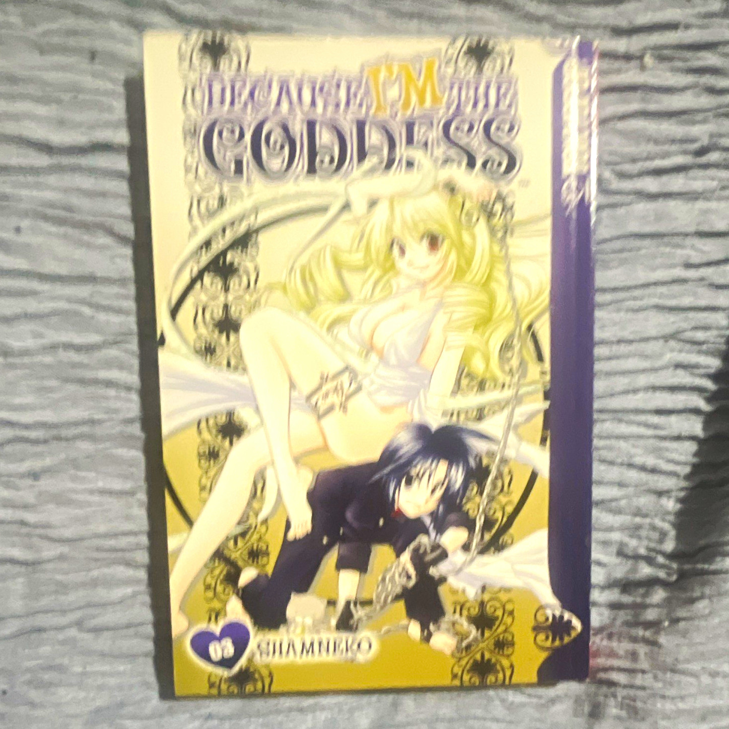 Tokyopop Because I\'m the Goddess Vol 3 Manga Softcover English ShamnekO