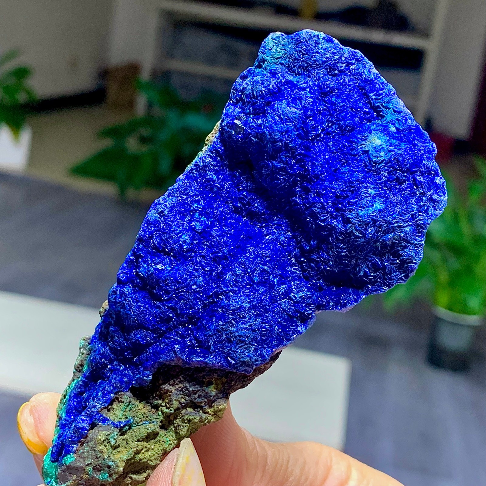 179G BEST Natural Azurite/Malachite crystal minerals specimens