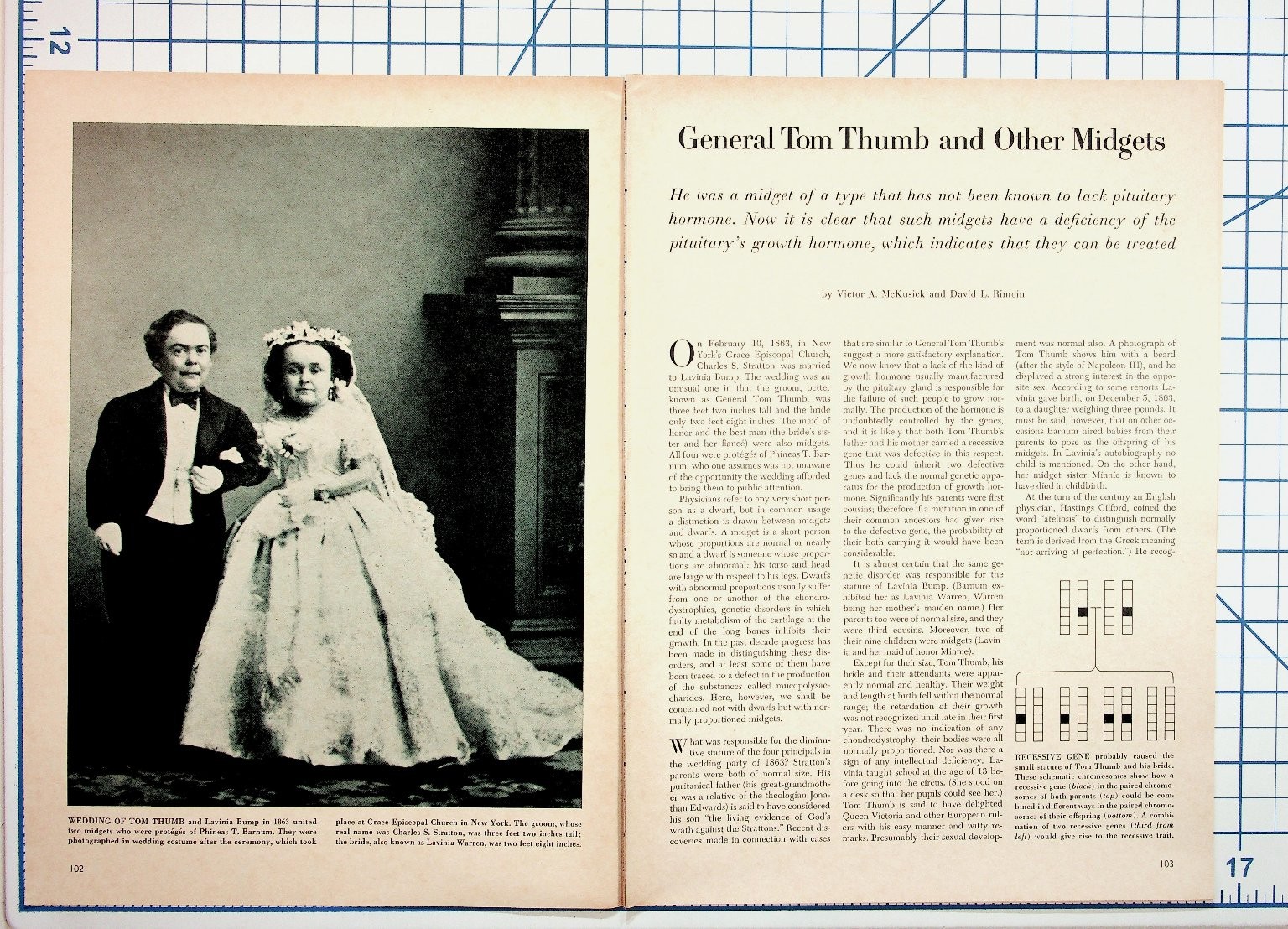 General Tom Thumb Midgets Article 1960s Science Journal Ephemera