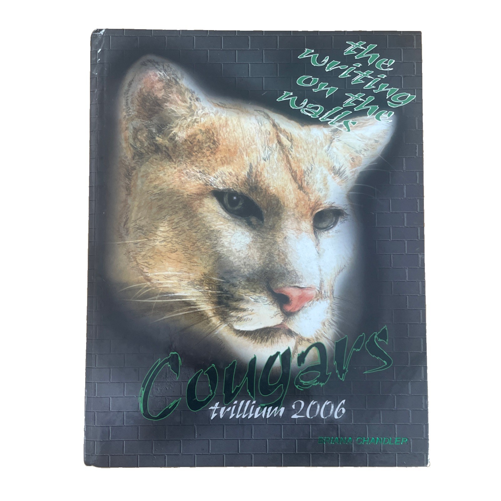 2006 Mountain Heritage High School Yearbook Burnsville NC VTG Annual