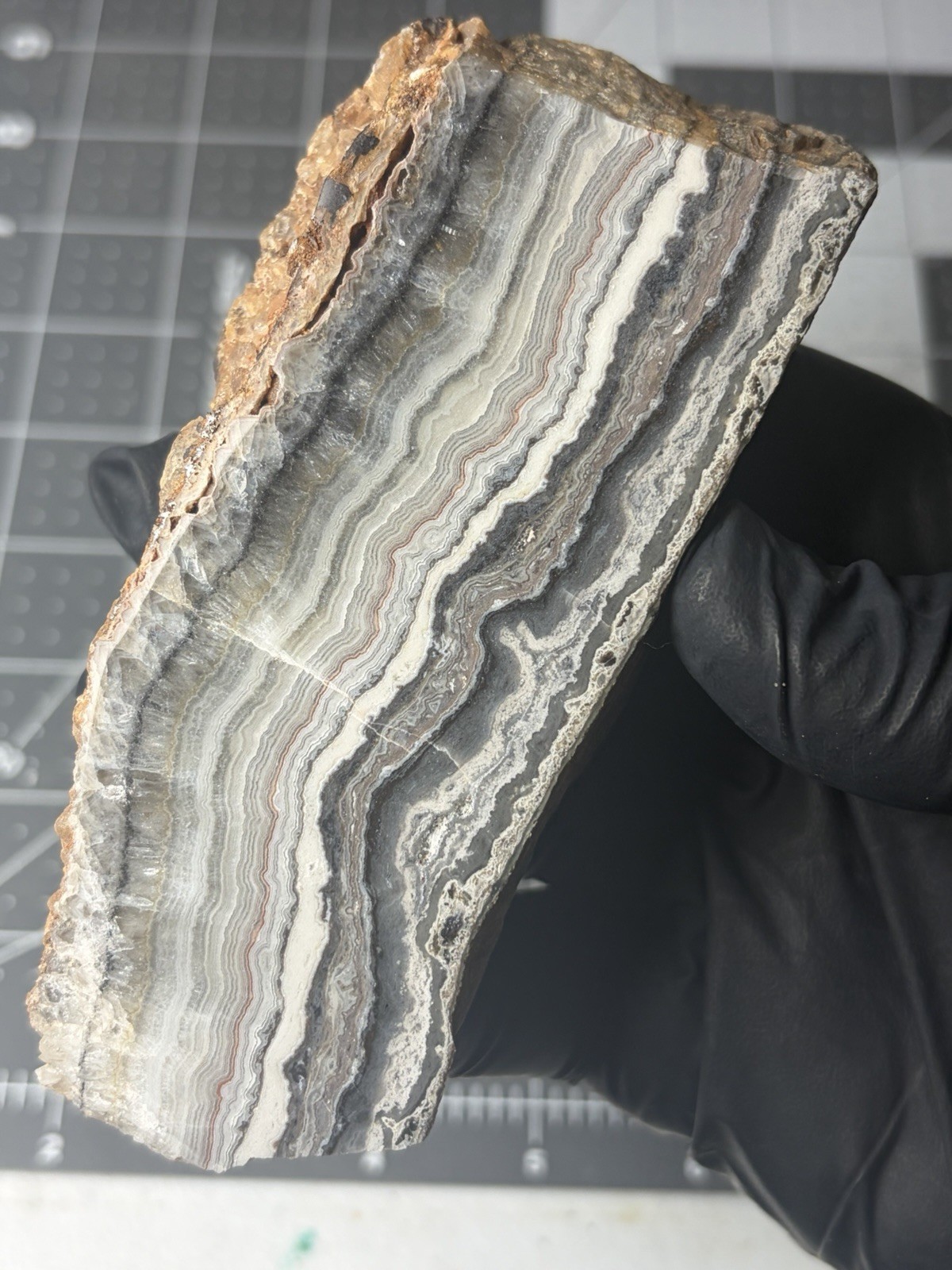 Laguna Lace Agate Polished Specimen Nice Banding 