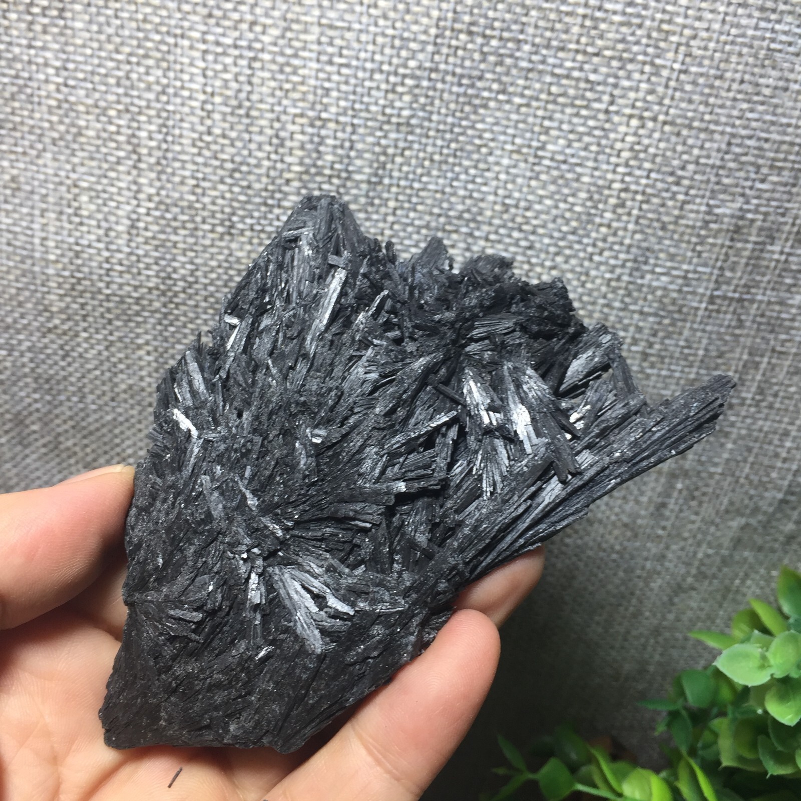 140g Natural Black Kyanite Blades Fans Premium Quality rough Mineral 110