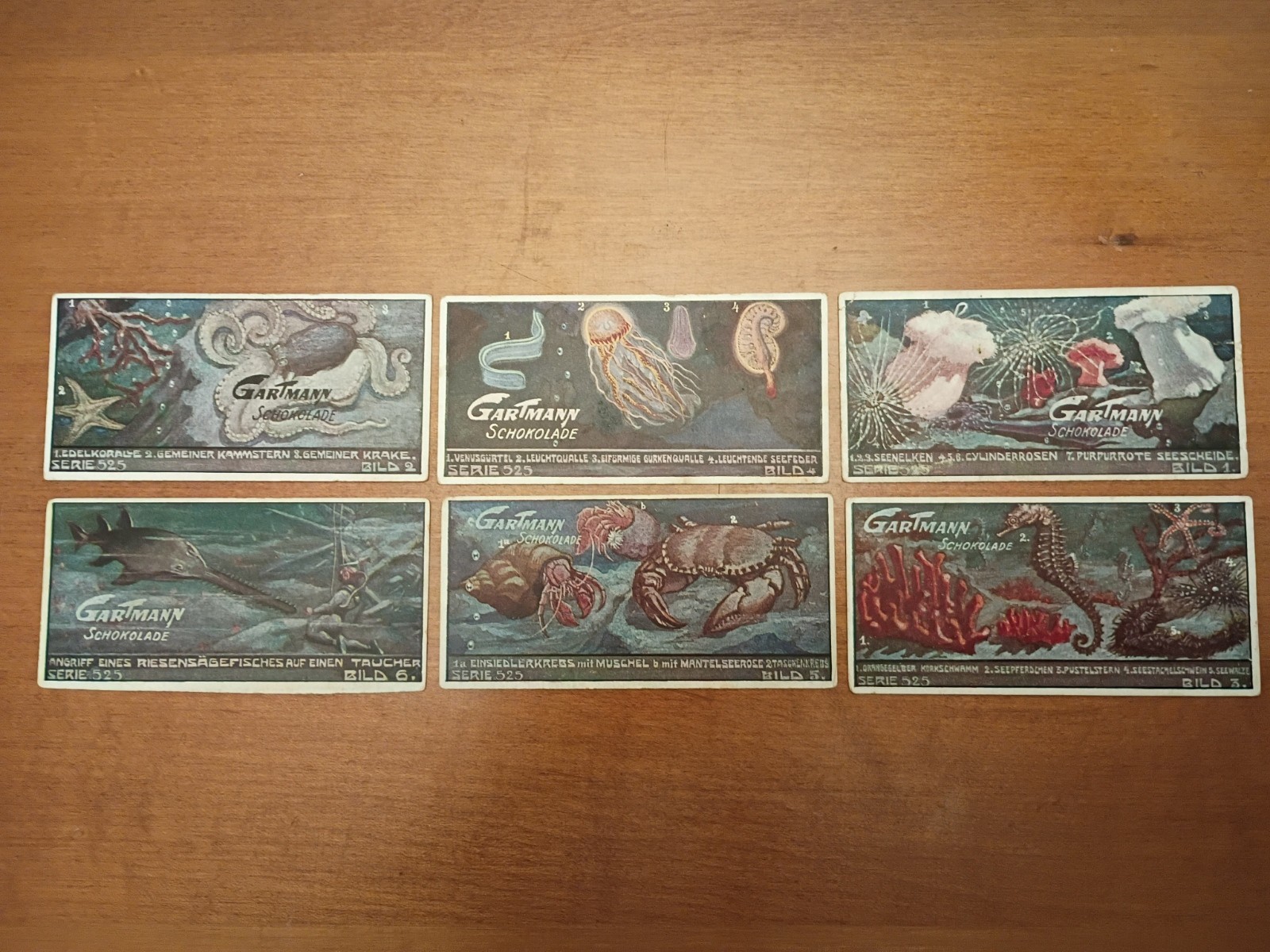DEEP SEA LIFE: Set of Scarce GARTMANN Chocolate Cards (1919) set 525 DEEP SEA LIFE: Set of Scarce GARTMANN Chocolate Cards (1919) set 525