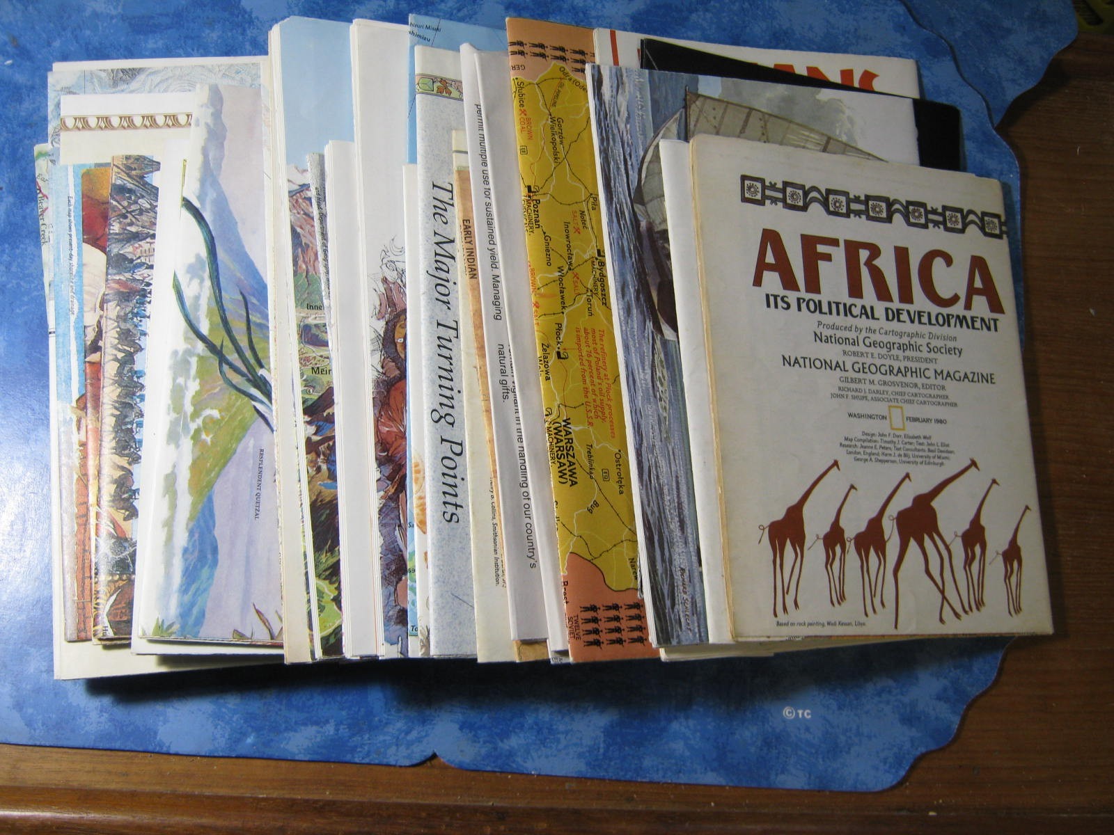 LOT OF 44 NATIONAL GEOGRAPHIC MAPS 1980-1989 No Duplicates