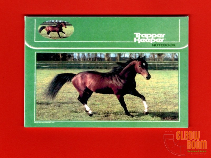Trapper Keeper 80\'s vintage art 2x3\
