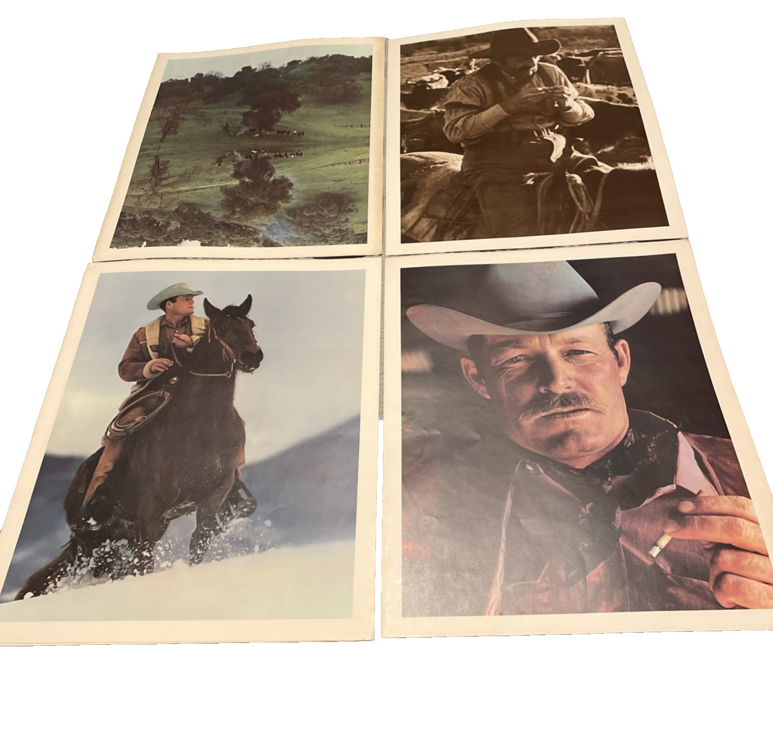 Vintage 1970s Marlboro Man Posters Darrell Winfield Cowboy Series 24x18 Set of 5