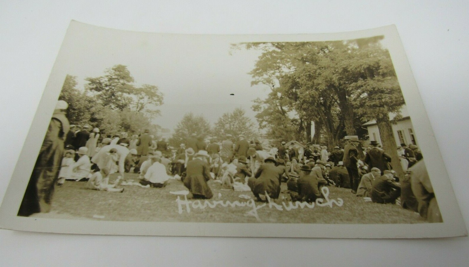 Group Picnic \