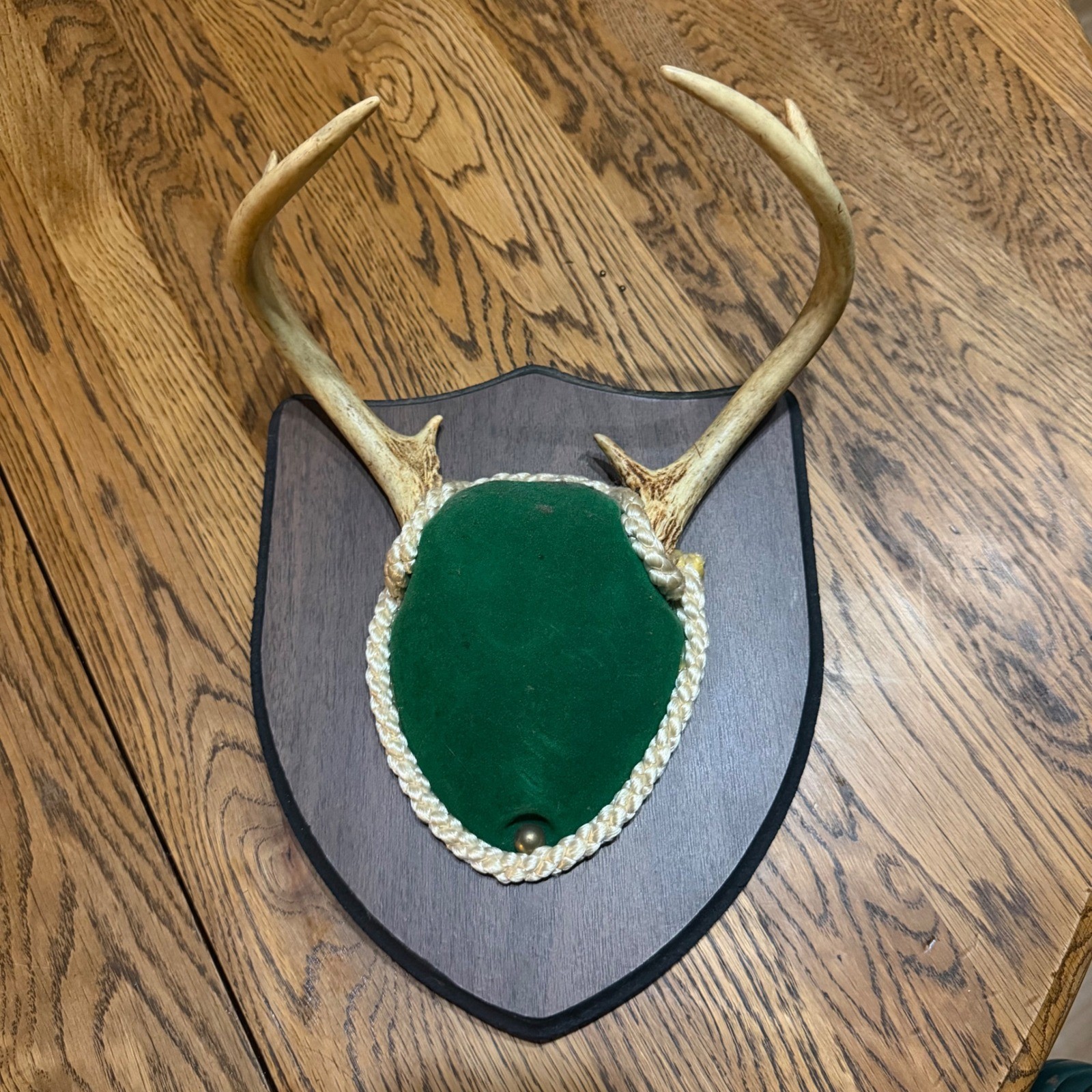 Vintage Whitetail Deer Antler Mount Shield Wood Plaque Green Velvet 4 Point 9in