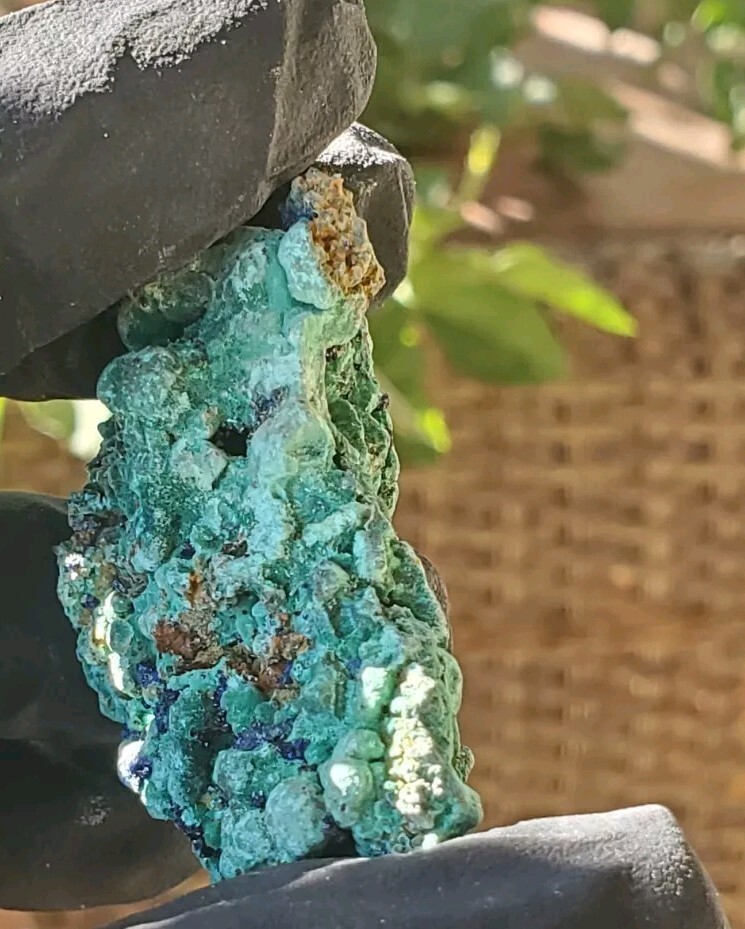 AZURITE/MALACHITE ON MATRIX FROM Zambia  20g  Ss16