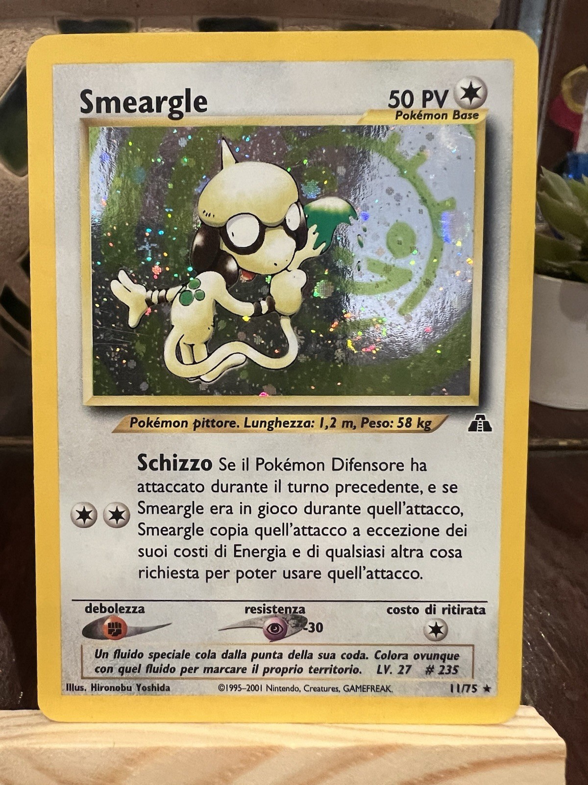 Smeargle 11/75 Neo Discovery Holo NM 
