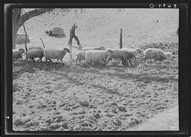 Gage County,Nebraska,NE,Farm Security Administration,October 1938,FSA