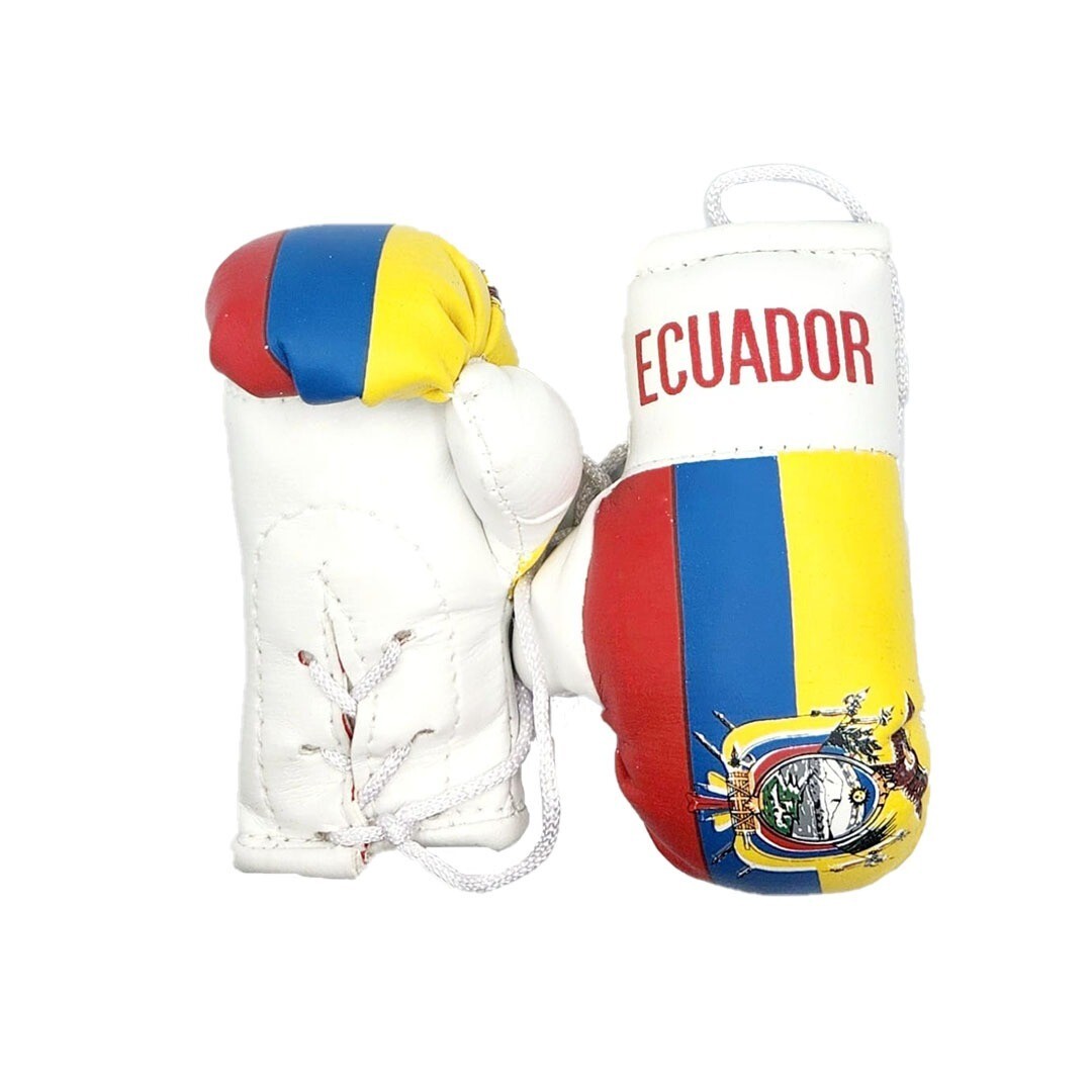 Ecuador Ecuadorian Flag Mini Boxing gloves for cars and trucks