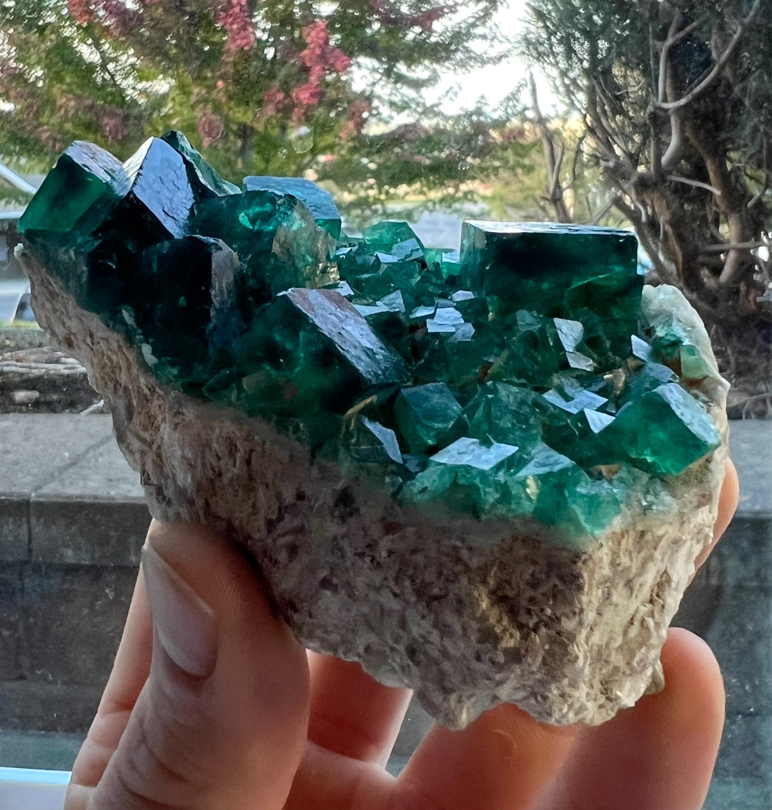 Green-Blueish Cubic Fluorite Crystal Specimen - 319g - Hunan Prov., China