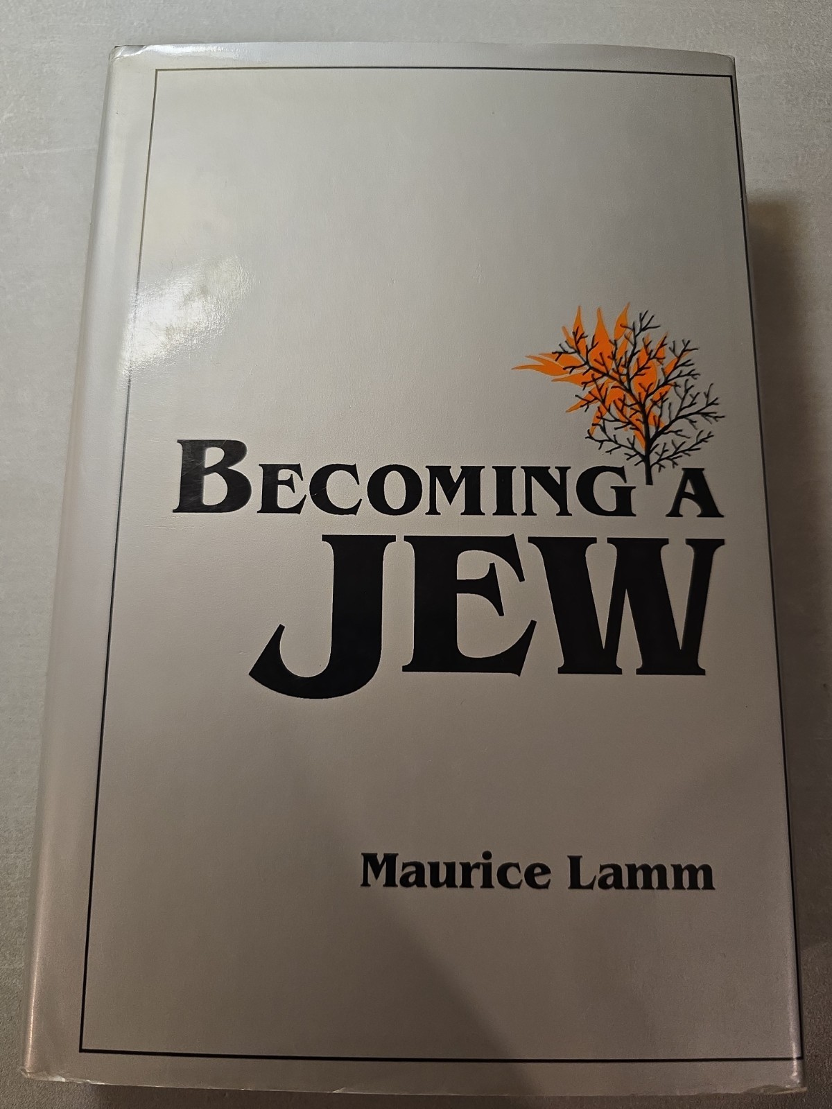 New Becoming a Jew. H/c Jewish Book/Sefer 