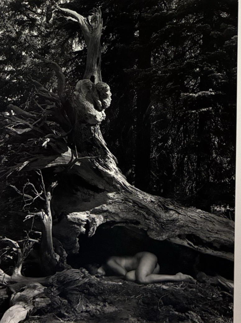 Cole Weston 1979 Gelatin Silver Photograph 