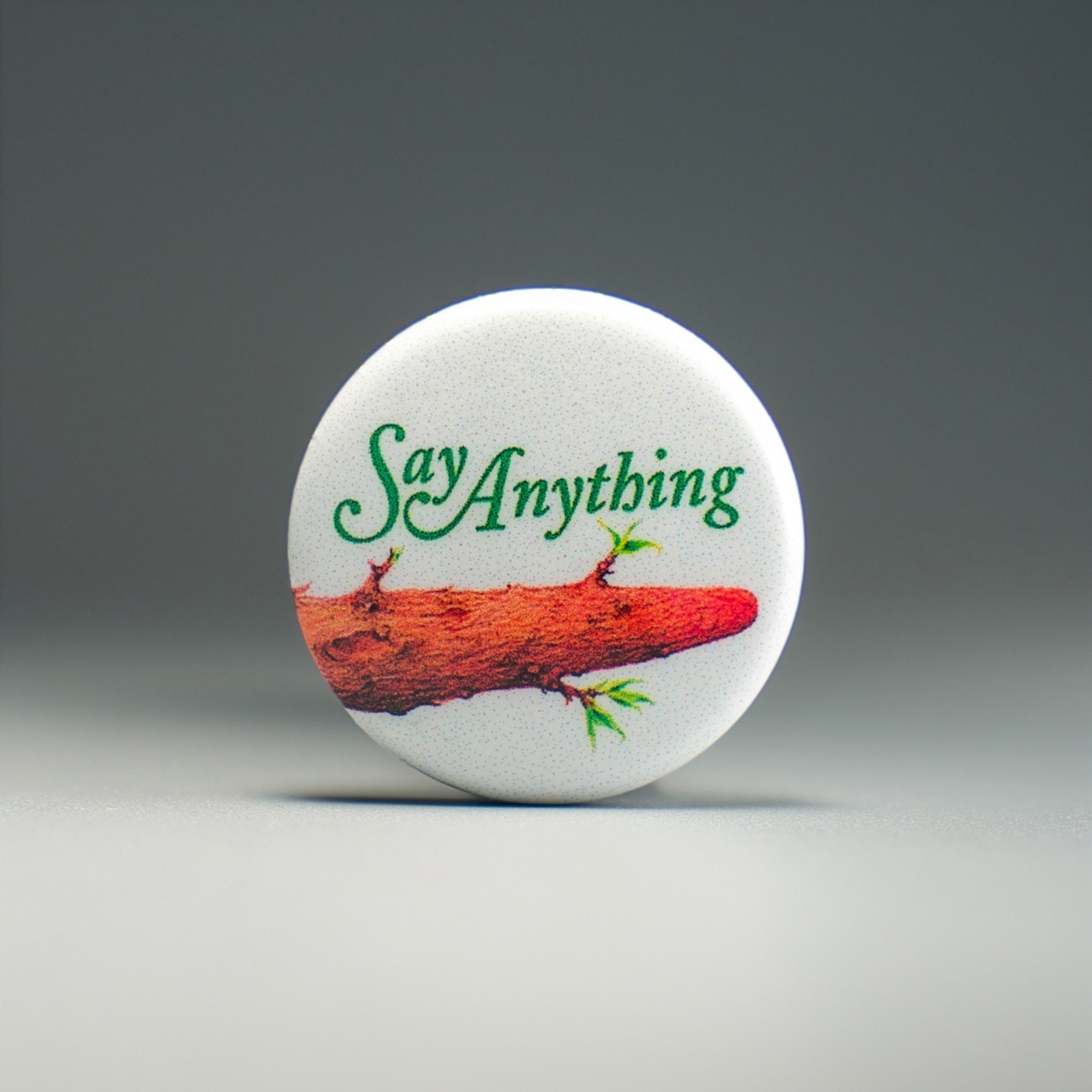 Say Anything Is A Real Boy 1in Pin | Max Bemis 2000s Emo Album Art