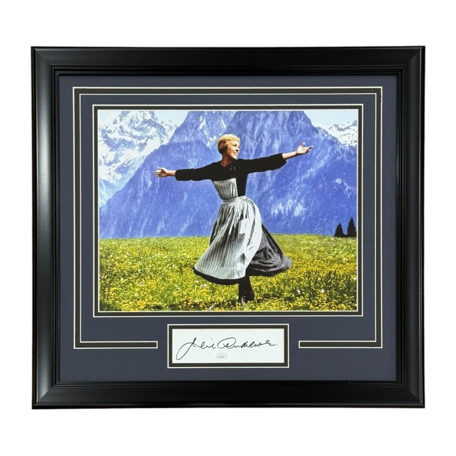 Julie Andrews Autographed The Sound of Music Deluxe Framed 11x14 Photo with Auto