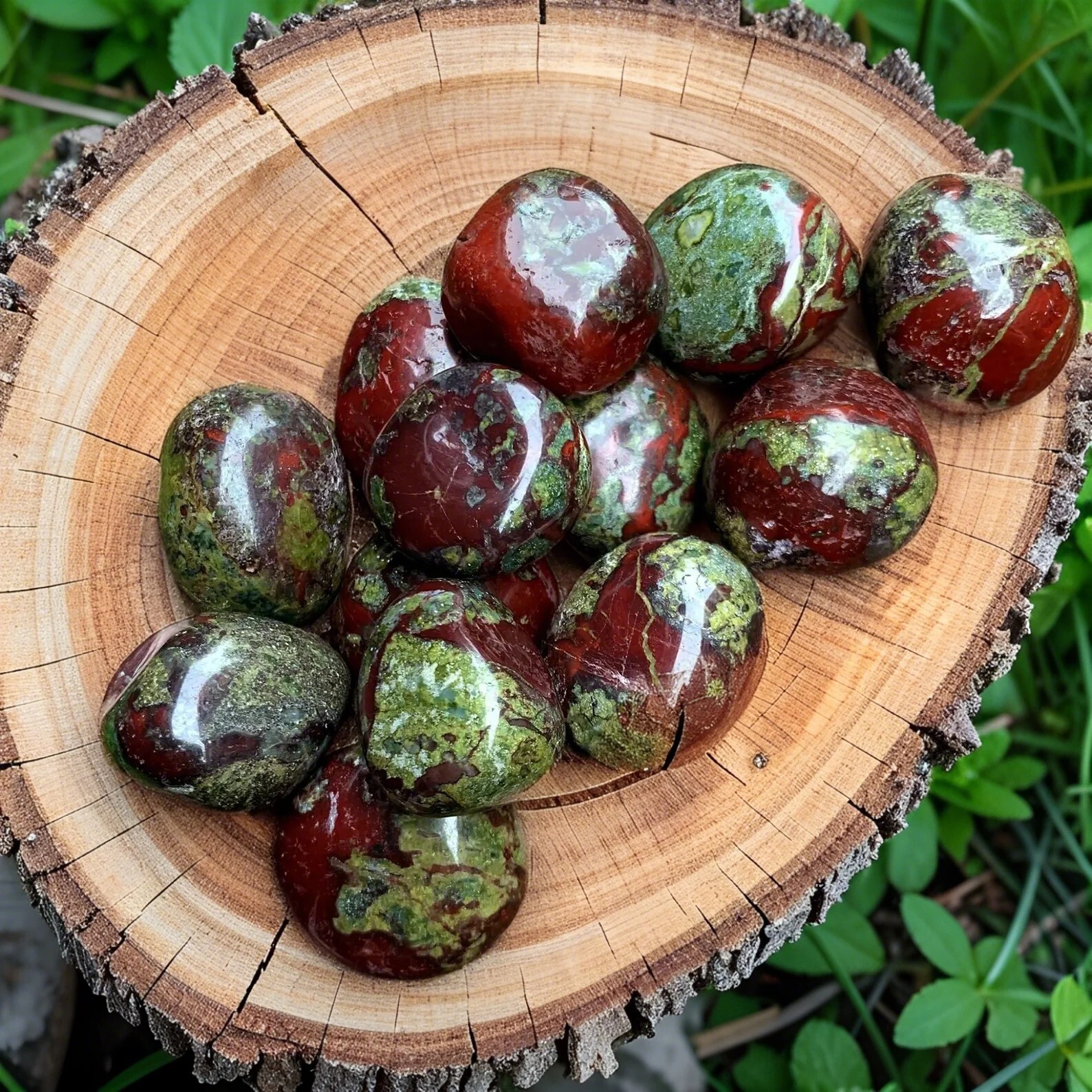 3Pcs Natural Tumbled Dragon Bloodstone Healing Crystal Mineral Specimen Gemstone