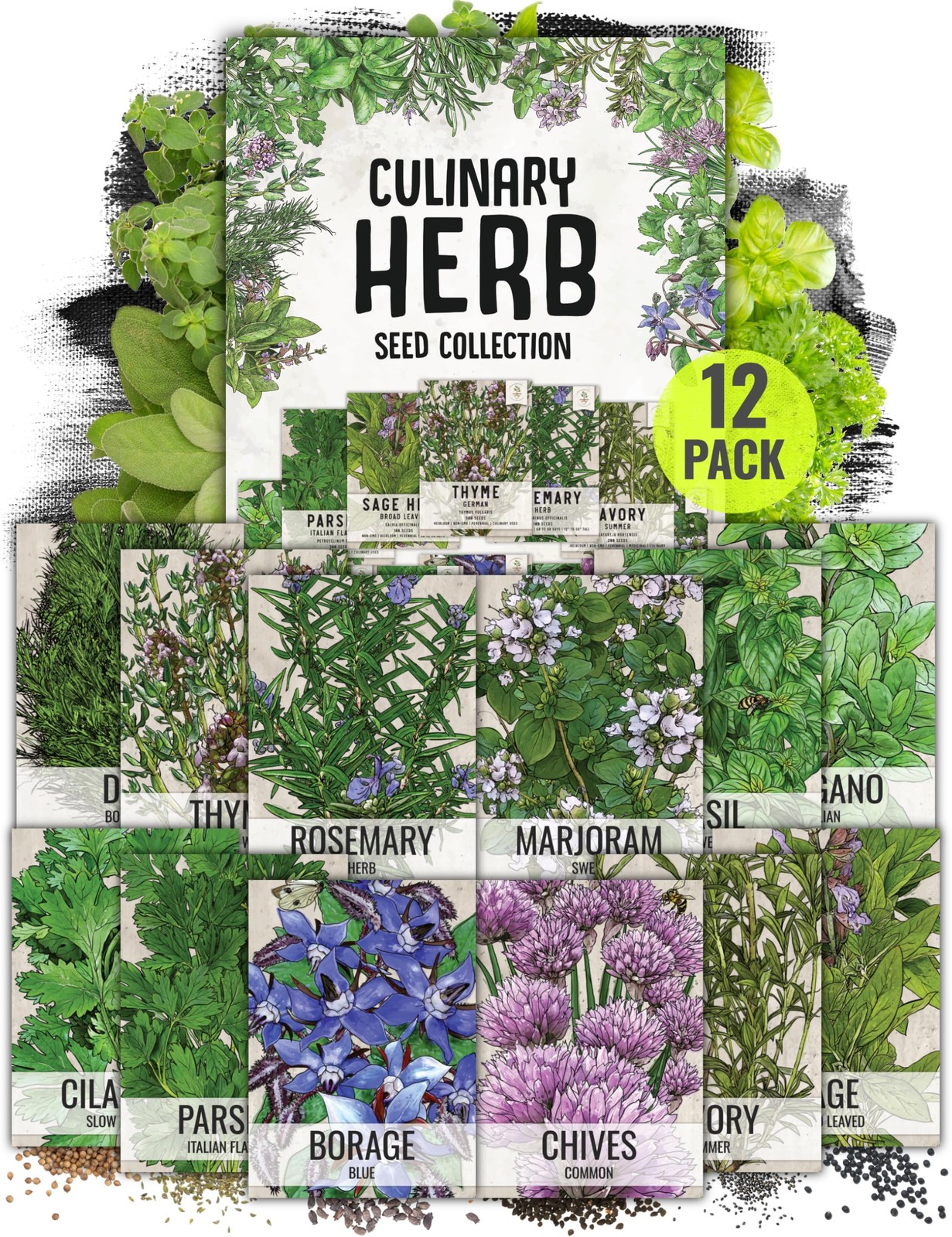 Seed Needs Herb Seeds Variety Pack of 12 - Culinary Non-GMO & Heirloom