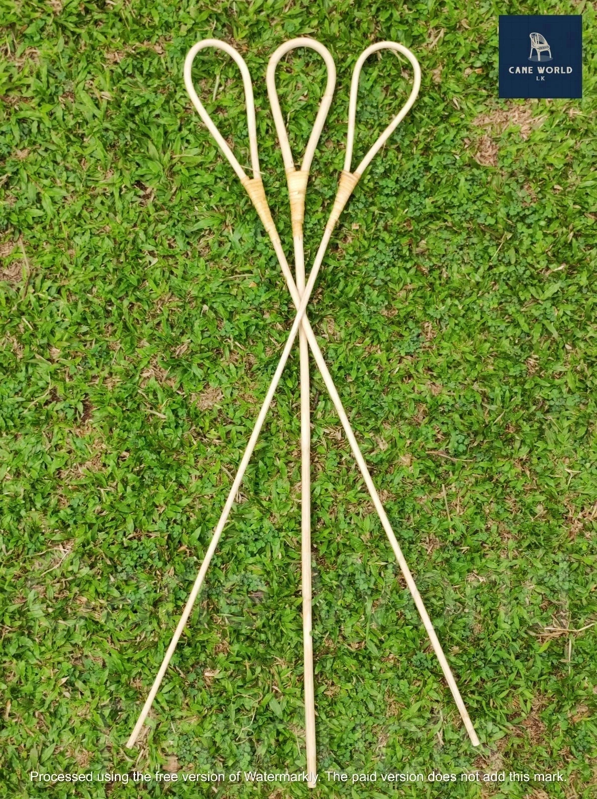 2pc Rattan Cane Scholastic sticks High Quality (size Big 0.7 - 1 cm)