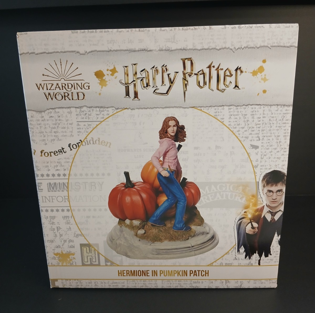 New Enesco Harry Potter Hermione Granger  In Pumpkin Patch Figurine # 6009017
