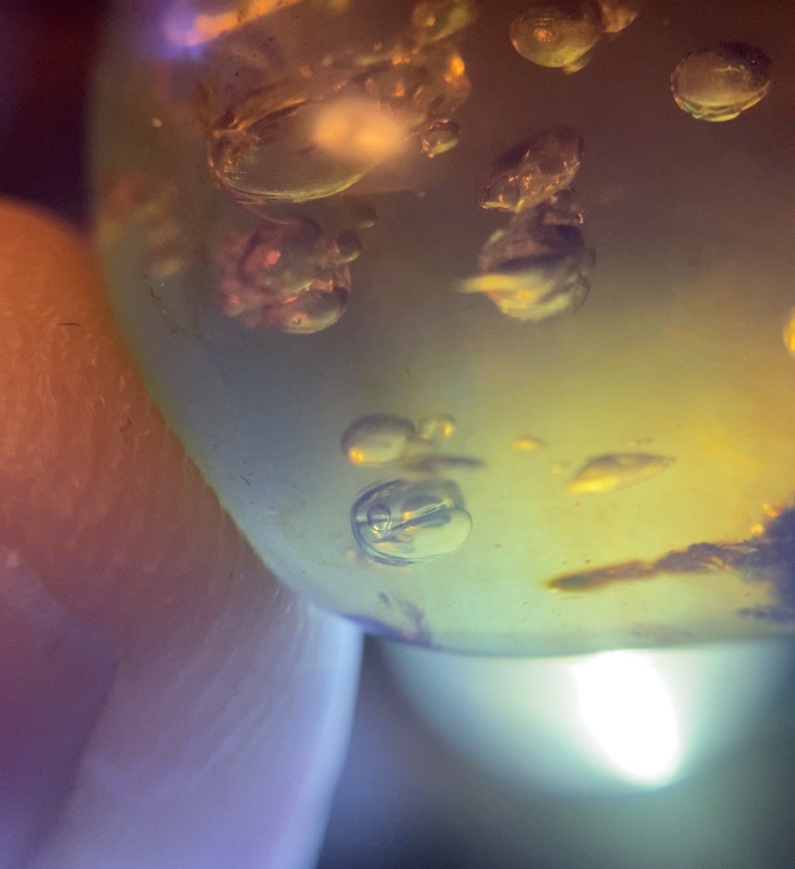 2 MOVING ENHYDROS Bubbles in Burmese Burmite Amber Cretaceous Rain Dino Water