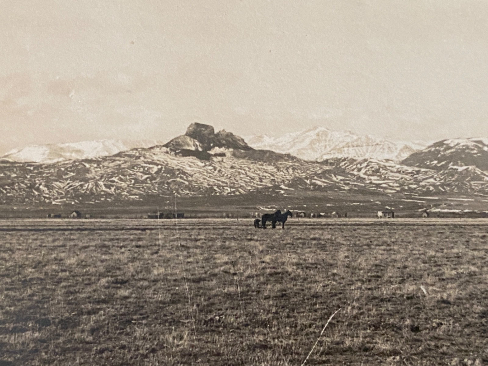 1910s RPPC POWELL, WYOMING - HEART MOUNTAIN old real photo postcard HOMESTEADING
