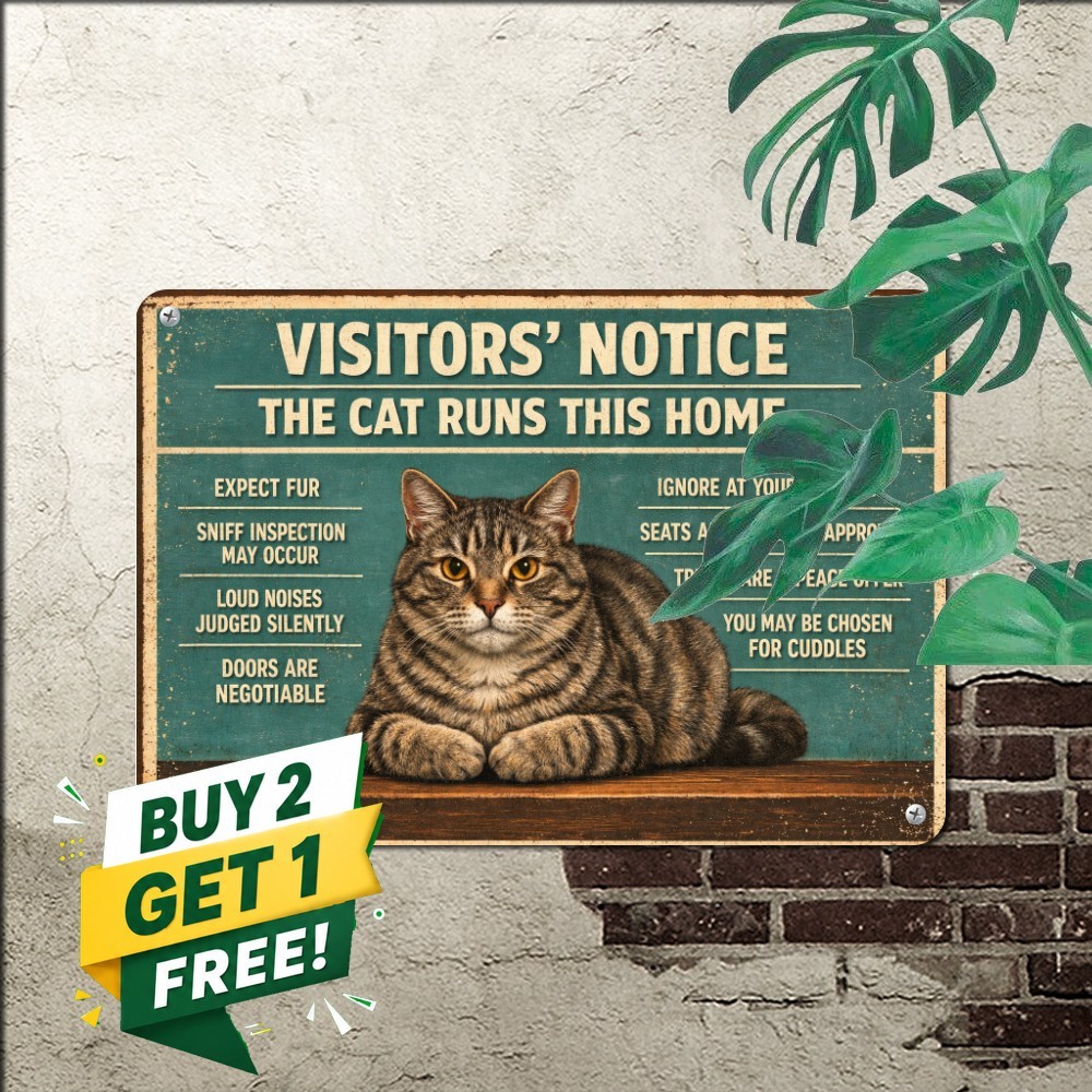 Visiting My Cat Home Funny Pet Lover Rules Plaque Retro Metal Tin Sign 8x12