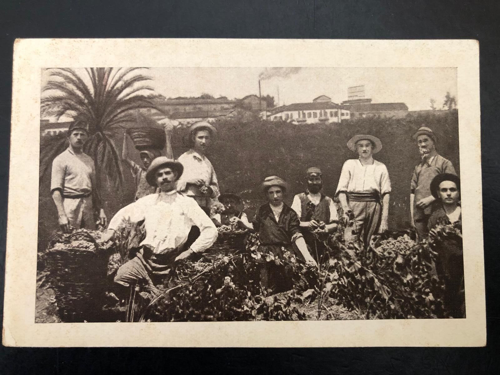 PALESTINE WINERY JUDAICA RISHON LEZION CARMEL CELLARS RARE PC 1934