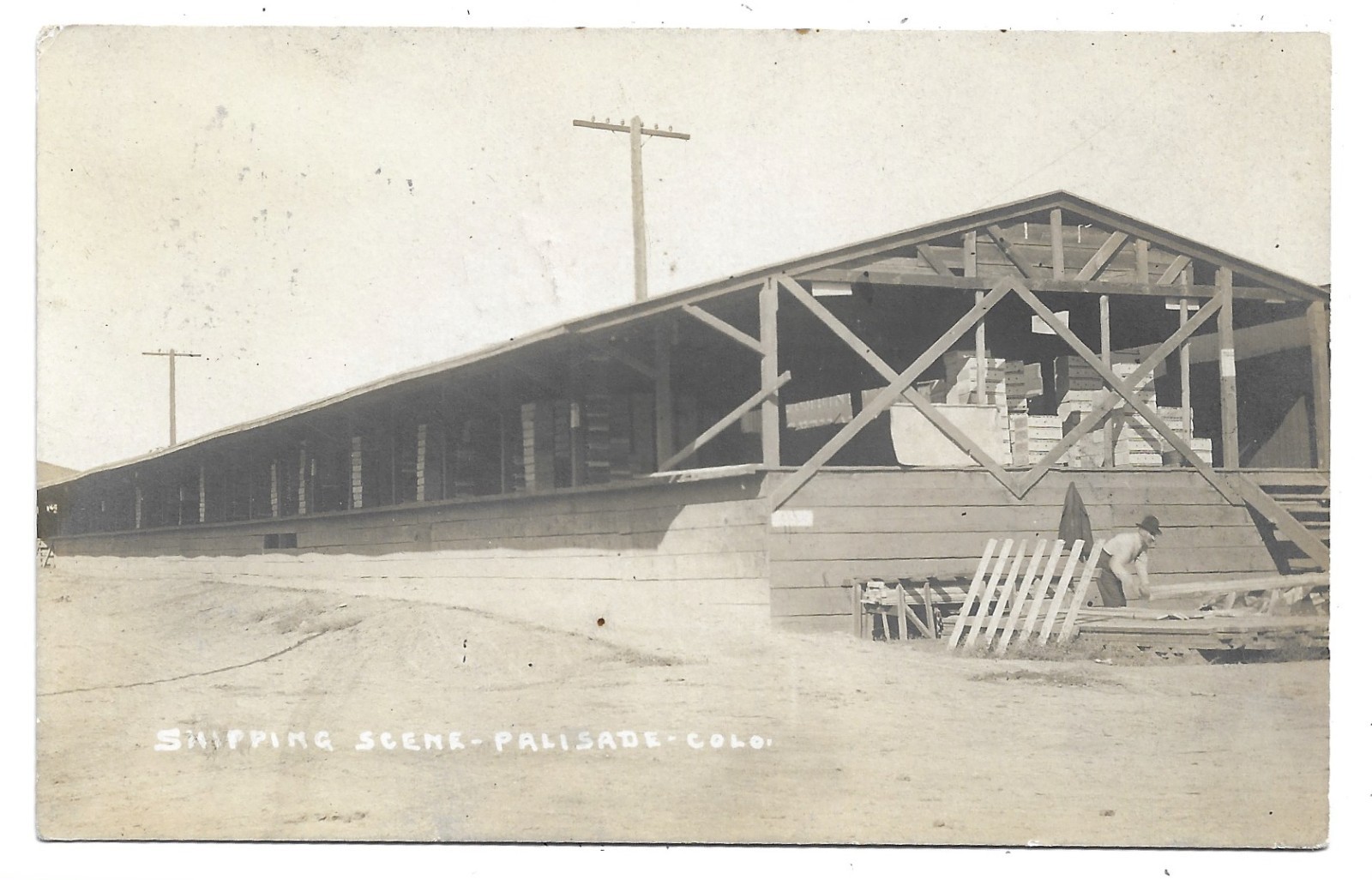 Palisade Colorado Shipping Scene RPPC Photo Postcard Mesa County