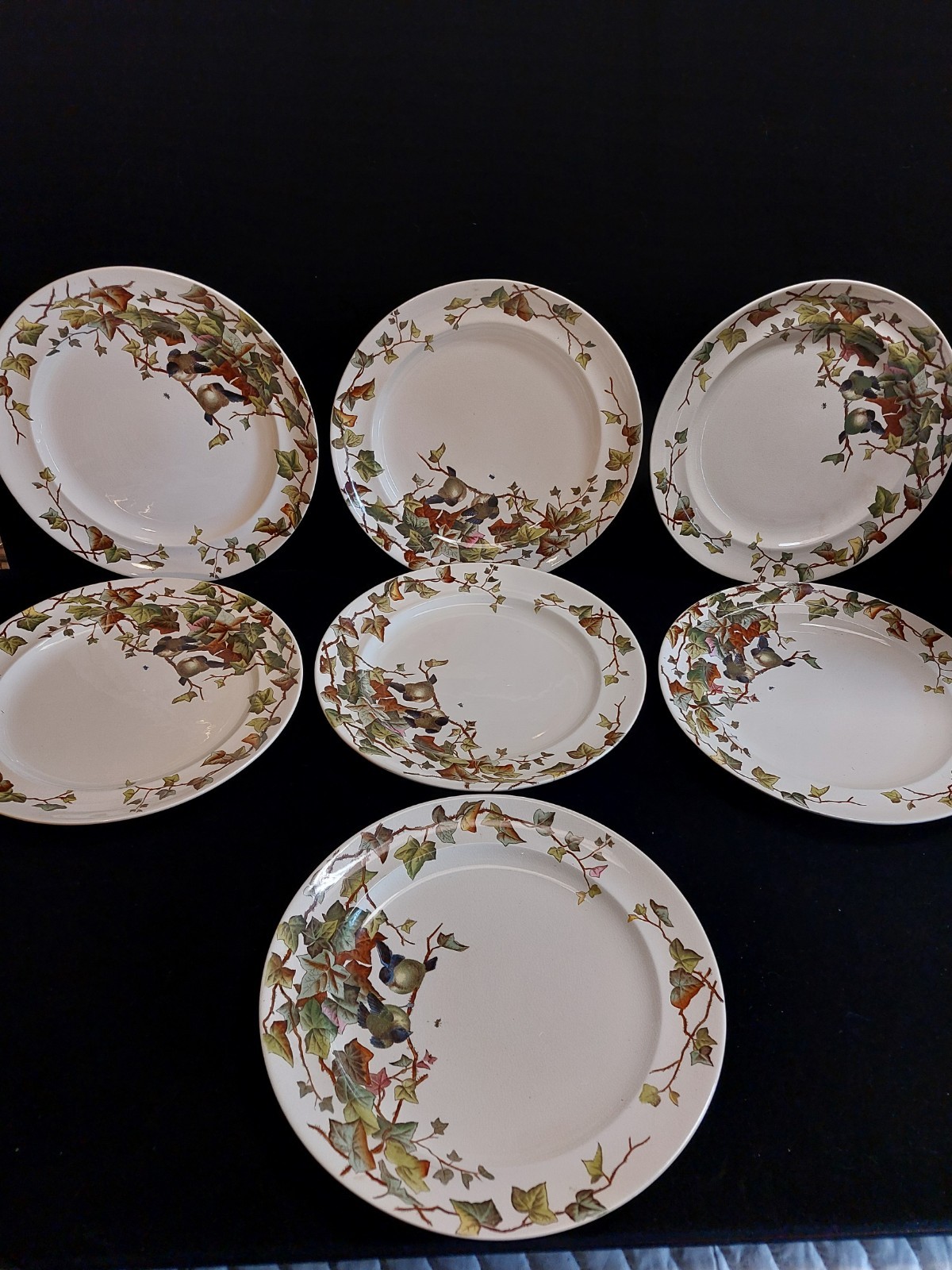 Set of 7 Ivy Bower Plates  George Jones and Sons Staffordshire Made Sept.29 1881