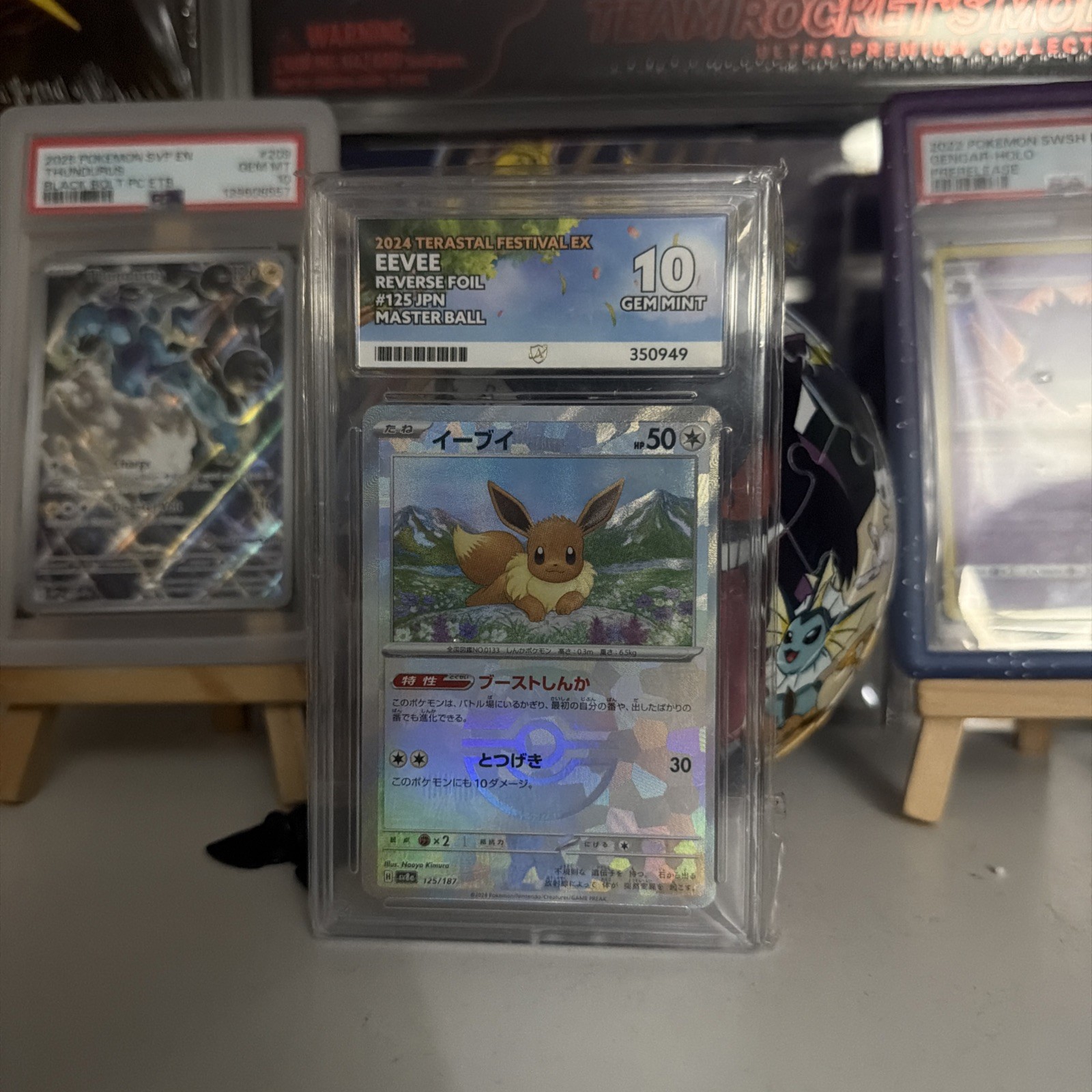 Eevee Master Ball 125/187 Terastal Festival ex sv8a Ace Grading Gem Mint 10 Eevee Master Ball 125/187 Terastal Festival ex sv8a Ace Grading Gem Mint 10