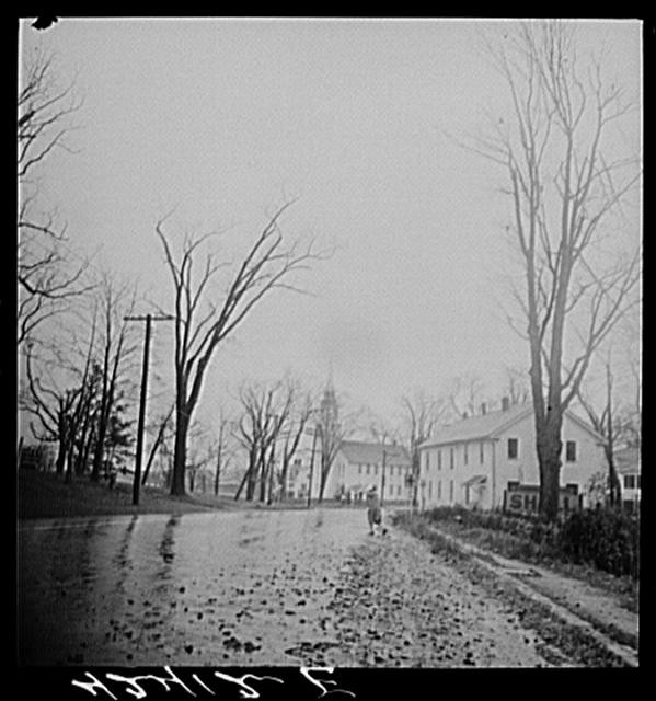 Brooklyn CT Windham County 1940 Rural Road Trees Farm Security Administration