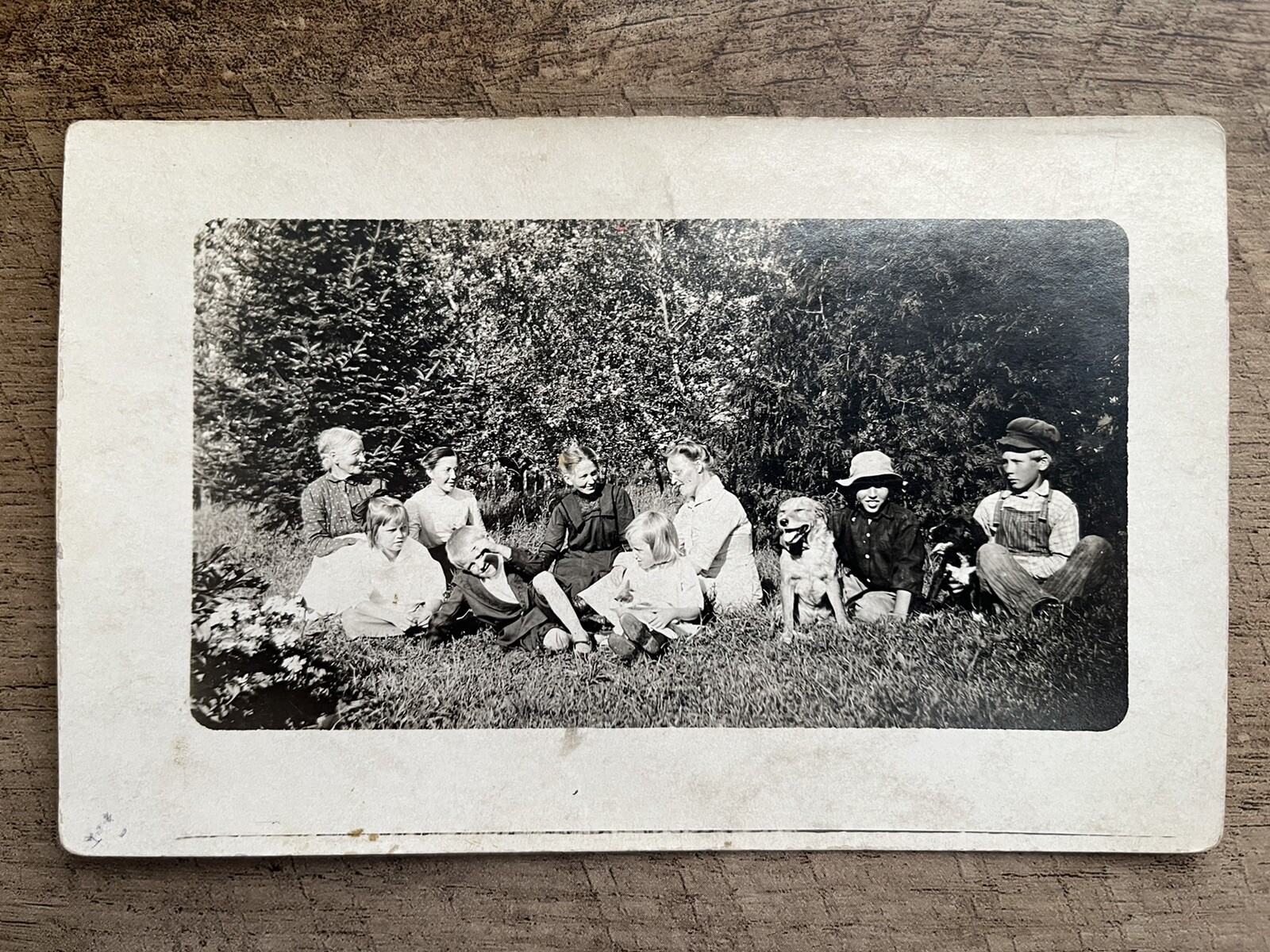 Early 1900’s Family Photo, Colfax Wheeler Dunn Co, WI Real Photo Postcard RPPC