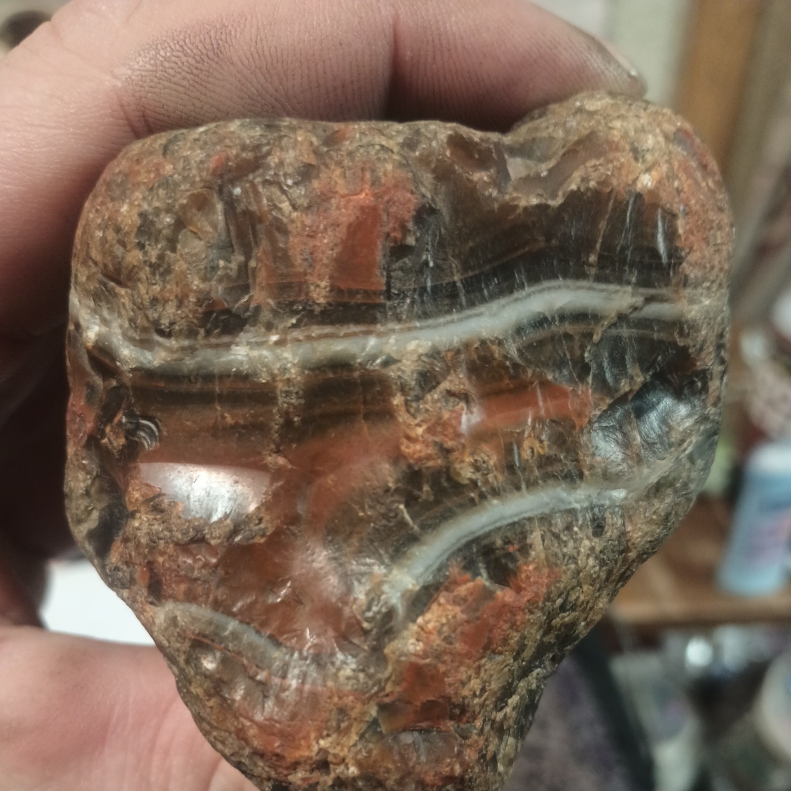  Rare rough Lake Superior Agate.  1 Lb 15oz.