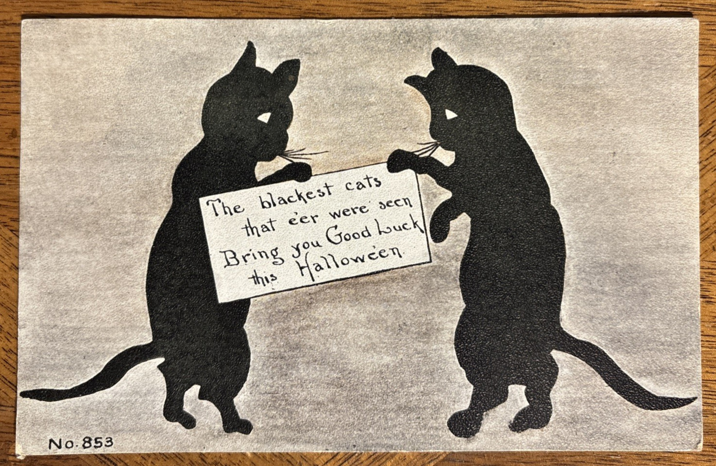 F. A. Owen Co. Vintage Halloween Postcard Black Cats Good Luck Dansville NY 853 F. A. Owen Co. Vintage Halloween Postcard Black Cats Good Luck Dansville NY 853