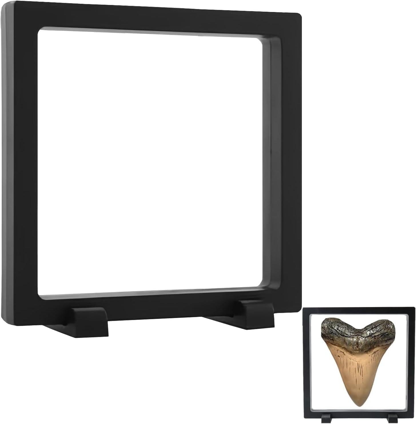 7.1 Inch Megalodon Shark Tooth Display Case, 3d Floating Frame Display Case for