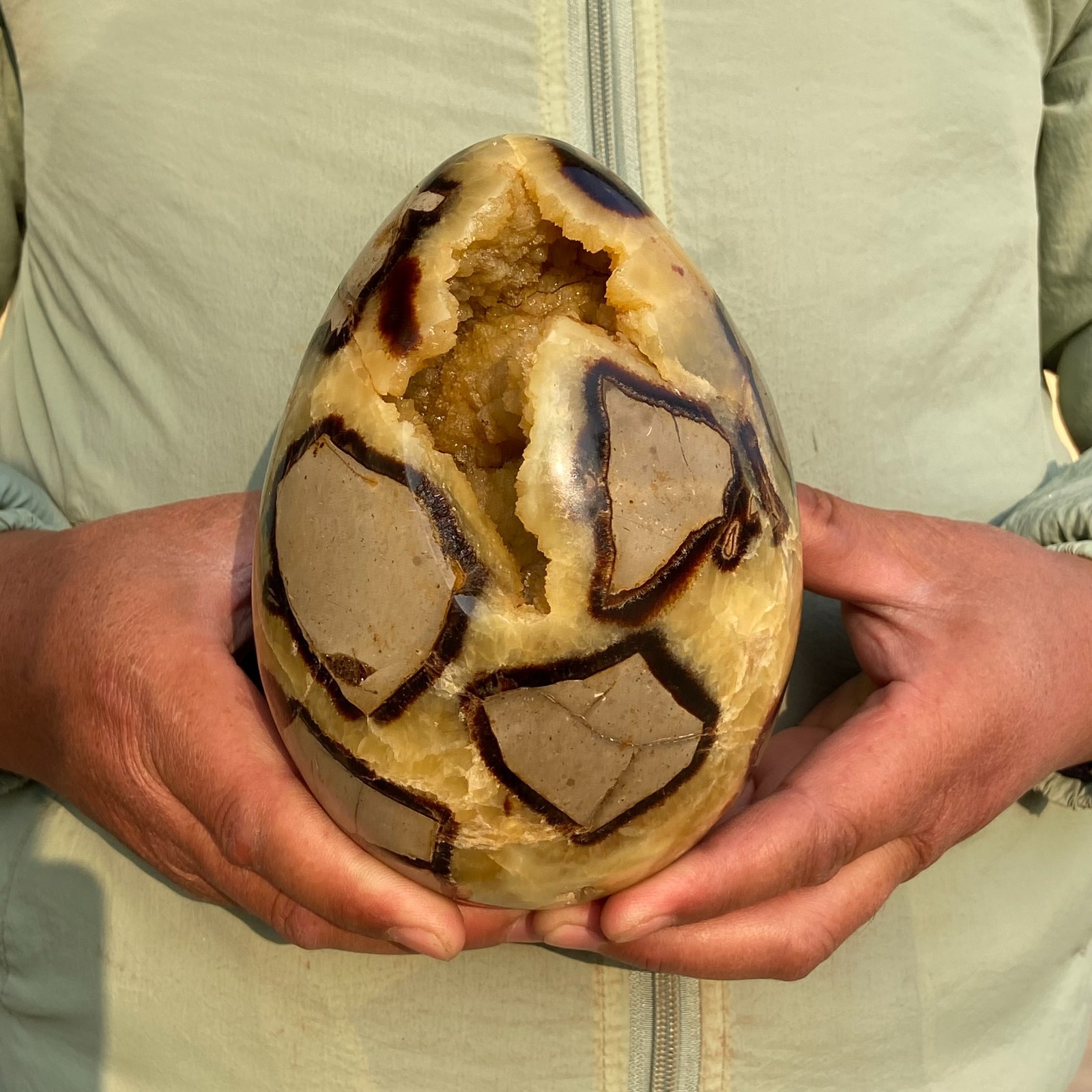 5.73LB Natural Dragon Septarian Stone Crystal Egg Geode Specimen Healing