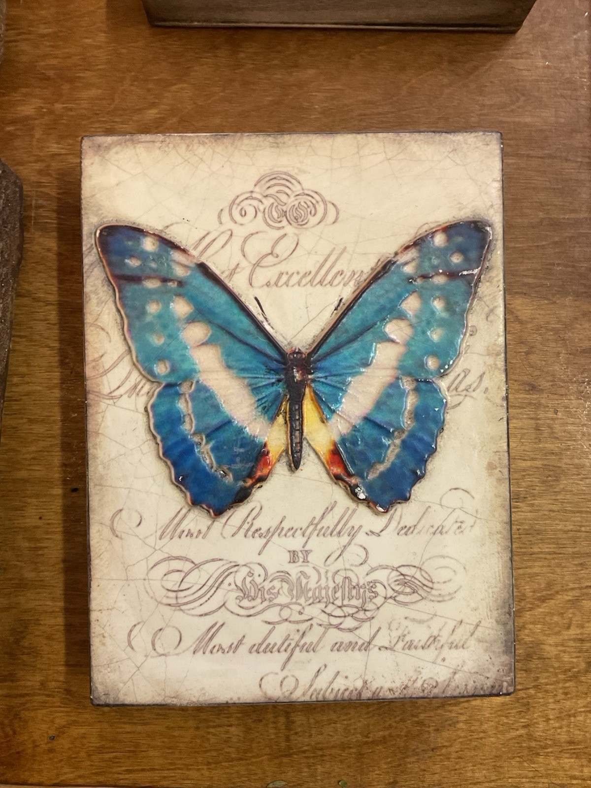 Sid Dickens Memory Blocks - Vintage, T-373 ~ Metamorphosis