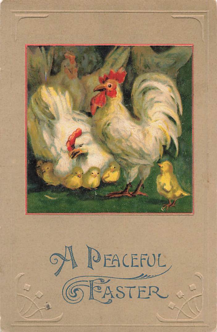 c1910 Chickens Chicks  Germany Easter P475