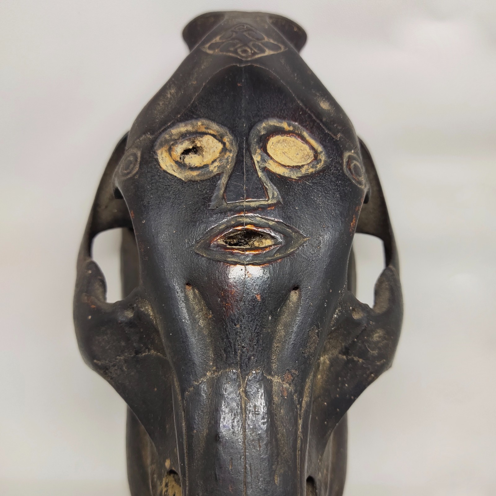 Antique Timor Atoni Boar Skull Scrimshaw Tribal Sculpture 8.5\
