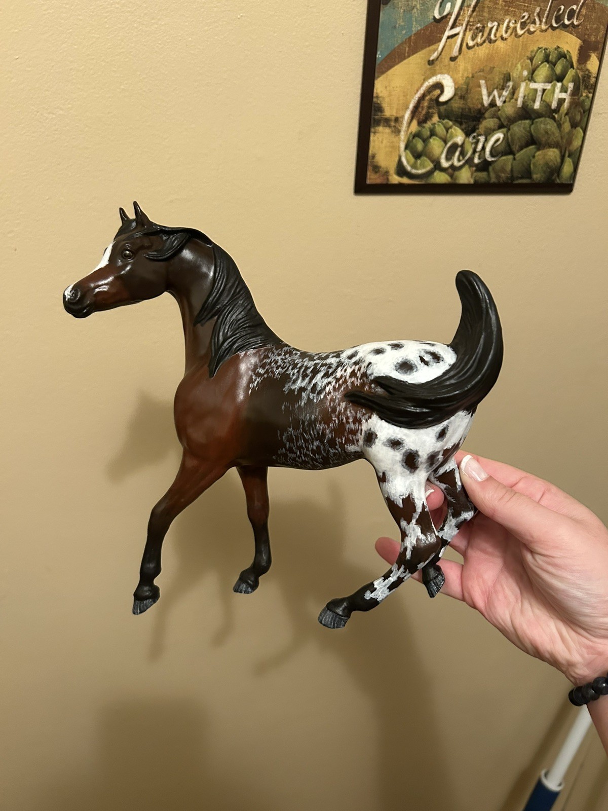 Breyer  Horse CUSTOM  Hand Painted  Appaloosa  Arabian Sham Beautiful 