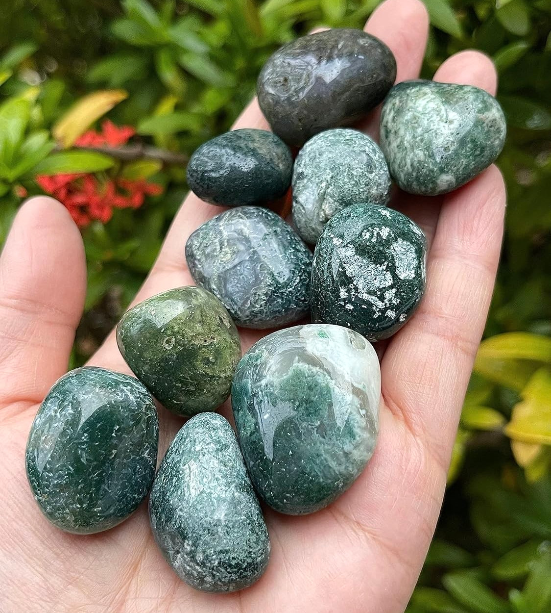 5PCS AAA+ Moss Agate Tumbled Stone | Polished Green Gemstone Home Decor Gift